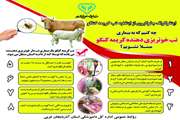اینفوگرافی هشدار اداره کل دامپزشکی استان آذربایجان غربی در خصوص بیماری تب کریمه کنگو 